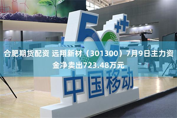 合肥期货配资 远翔新材（301300）7月9日主力资金净卖出723.48万元