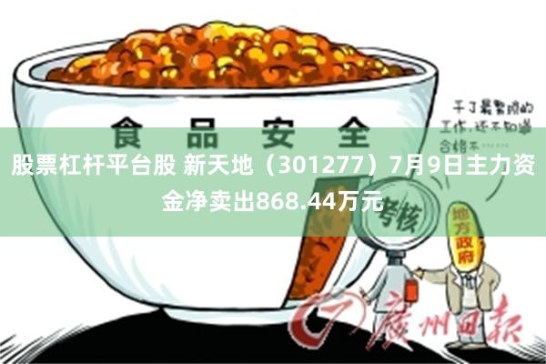 股票杠杆平台股 新天地（301277）7月9日主力资金净卖出868.44万元