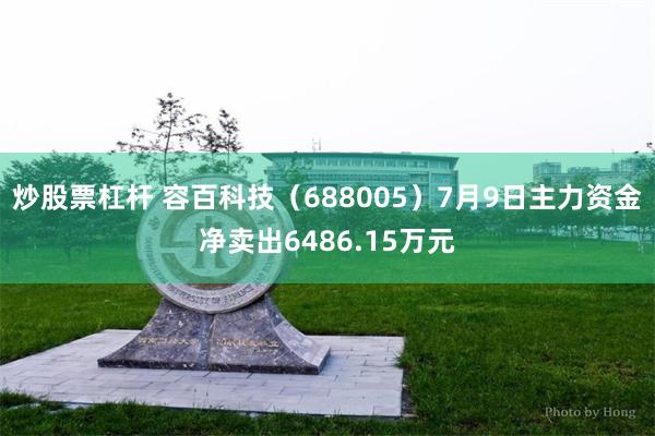 炒股票杠杆 容百科技（688005）7月9日主力资金净卖出6486.15万元