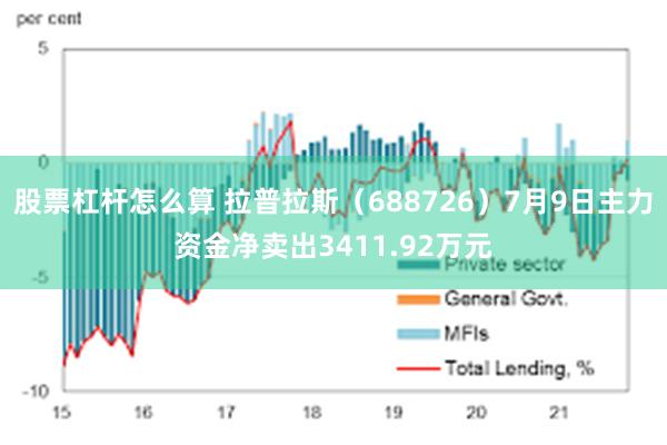 股票杠杆怎么算 拉普拉斯（688726）7月9日主力资金净卖出3411.92万元