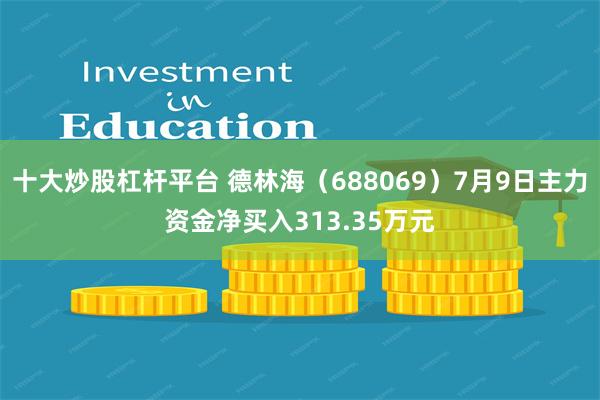 十大炒股杠杆平台 德林海（688069）7月9日主力资金净买入313.35万元