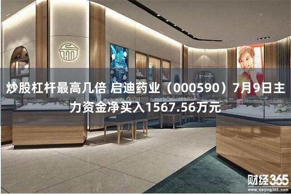 炒股杠杆最高几倍 启迪药业（000590）7月9日主力资金净买入1567.56万元