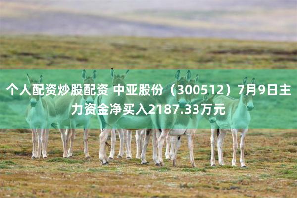 个人配资炒股配资 中亚股份（300512）7月9日主力资金净买入2187.33万元