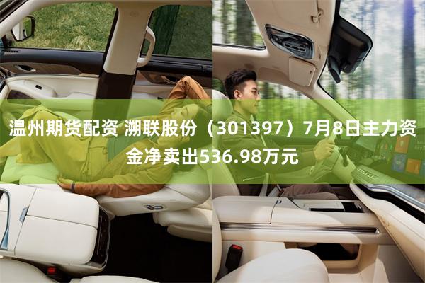 温州期货配资 溯联股份（301397）7月8日主力资金净卖出536.98万元