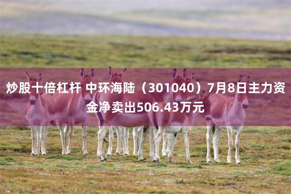 炒股十倍杠杆 中环海陆（301040）7月8日主力资金净卖出506.43万元