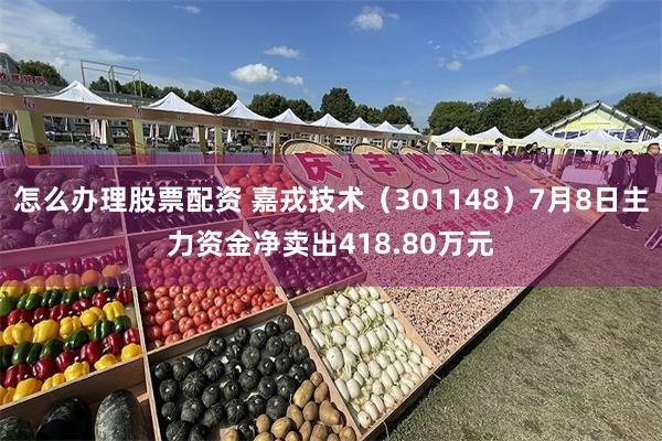 怎么办理股票配资 嘉戎技术（301148）7月8日主力资金净卖出418.80万元