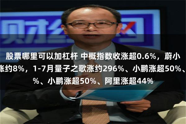股票哪里可以加杠杆 中概指数收涨超0.6%，蔚小理和阿里至多涨约8%，1-7月量子之歌涨约296%、小鹏涨超50%、阿里涨超44%
