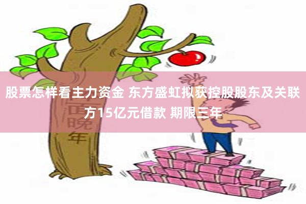 股票怎样看主力资金 东方盛虹拟获控股股东及关联方15亿元借款 期限三年