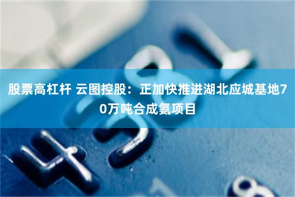 股票高杠杆 云图控股:正加快推进湖北应城基地70万吨合成氨项目