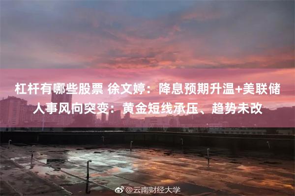 杠杆有哪些股票 徐文婷：降息预期升温+美联储人事风向突变：黄金短线承压、趋势未改