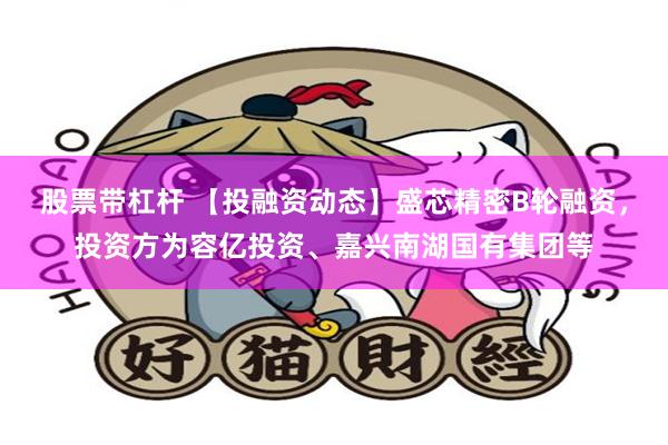股票带杠杆 【投融资动态】盛芯精密B轮融资，投资方为容亿投资、嘉兴南湖国有集团等