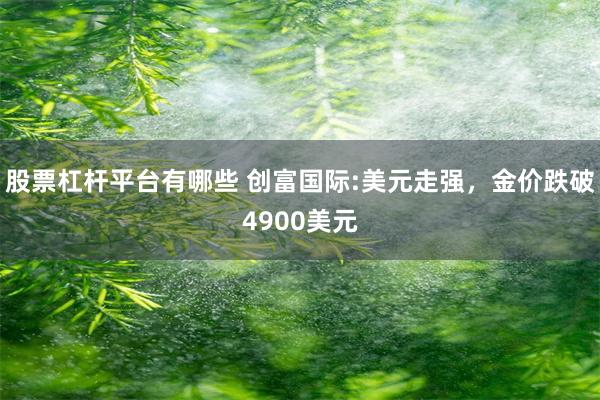 股票杠杆平台有哪些 创富国际:美元走强，金价跌破4900美元
