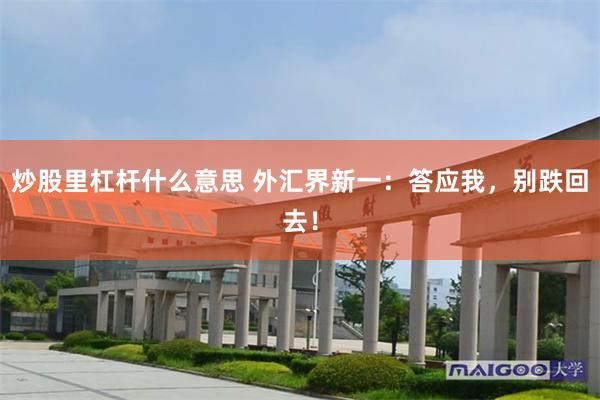 炒股里杠杆什么意思 外汇界新一：答应我，别跌回去！