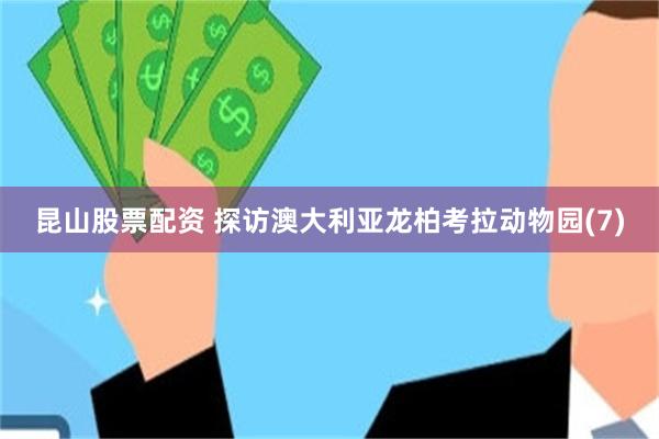 昆山股票配资 探访澳大利亚龙柏考拉动物园(7)