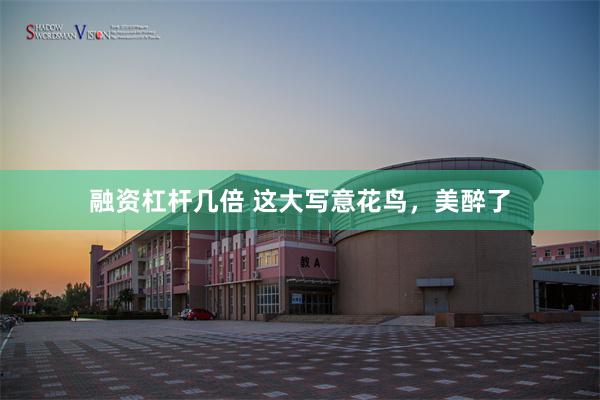 融资杠杆几倍 这大写意花鸟，美醉了