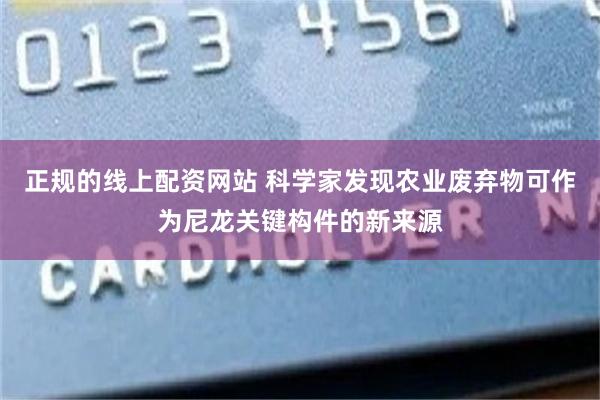 正规的线上配资网站 科学家发现农业废弃物可作为尼龙关键构件的新来源