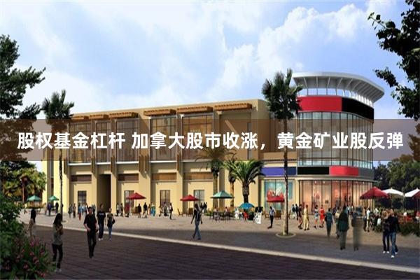 股权基金杠杆 加拿大股市收涨，黄金矿业股反弹
