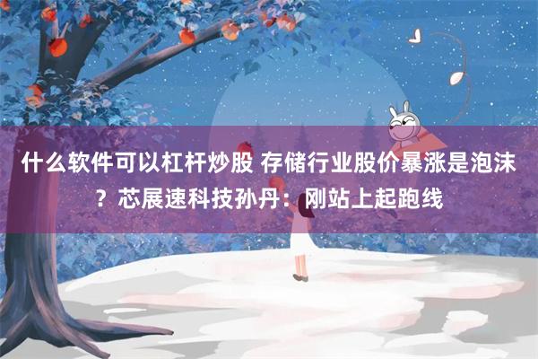什么软件可以杠杆炒股 存储行业股价暴涨是泡沫?芯展速科技孙丹:刚站上起跑线