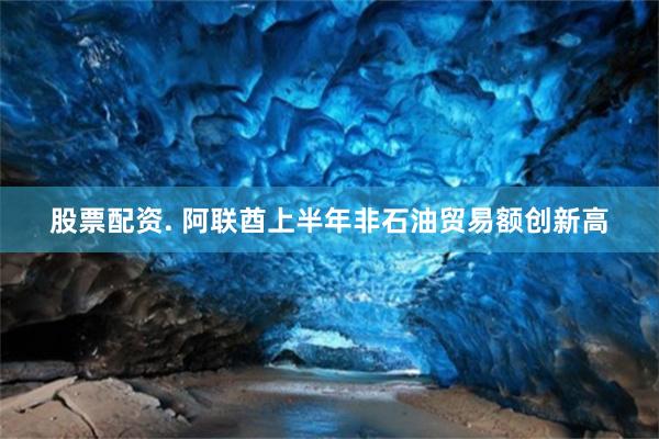 股票配资. 阿联酋上半年非石油贸易额创新高
