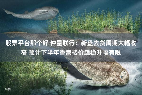 股票平台那个好 仲量联行：新盘去货周期大幅收窄 预计下半年香港楼价趋稳升幅有限
