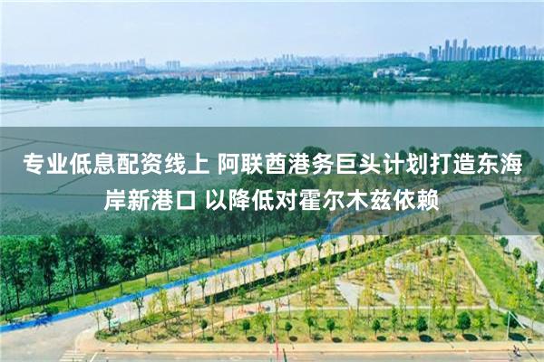 专业低息配资线上 阿联酋港务巨头计划打造东海岸新港口 以降低对霍尔木兹依赖