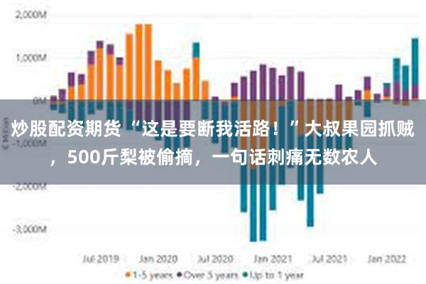 炒股配资期货 “这是要断我活路！”大叔果园抓贼，500斤梨被偷摘，一句话刺痛无数农人