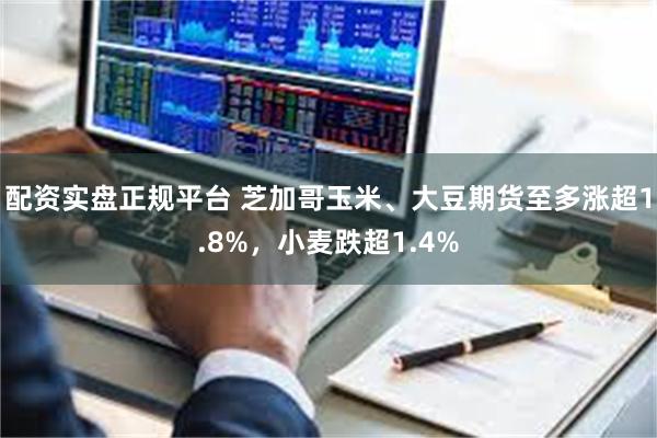 配资实盘正规平台 芝加哥玉米、大豆期货至多涨超1.8%，小麦跌超1.4%