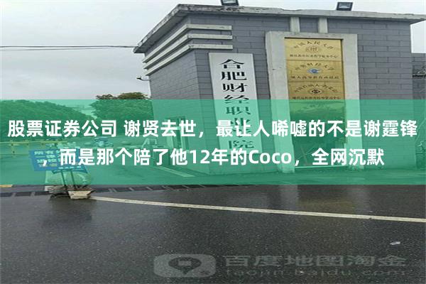 股票证券公司 谢贤去世，最让人唏嘘的不是谢霆锋，而是那个陪了他12年的Coco，全网沉默