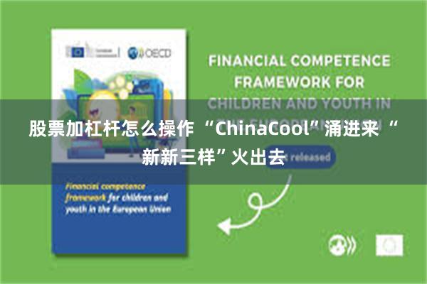 股票加杠杆怎么操作 “ChinaCool”涌进来 “新新三样”火出去