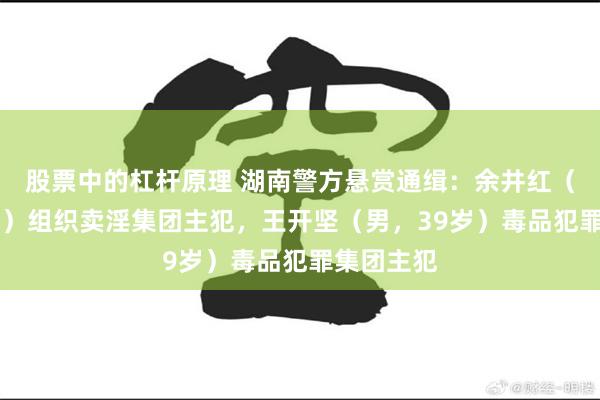 股票中的杠杆原理 湖南警方悬赏通缉:余井红(女,27岁)组织卖淫集团主犯,王开坚(男,39岁)毒品犯罪集团主犯