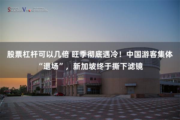 股票杠杆可以几倍 旺季彻底遇冷！中国游客集体“退场”，新加坡终于撕下滤镜