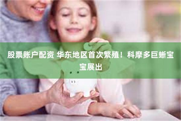 股票账户配资 华东地区首次繁殖！科摩多巨蜥宝宝展出