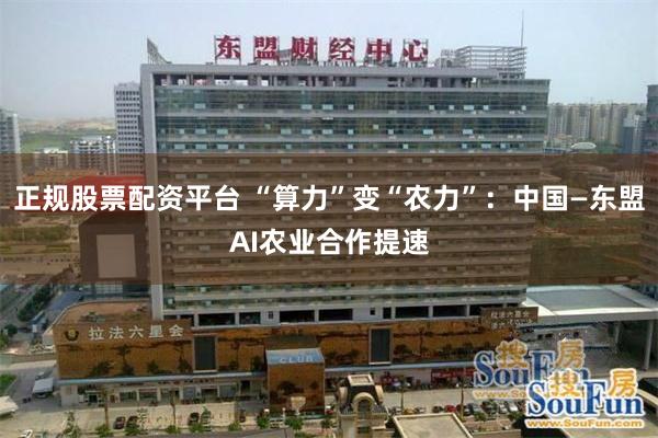 正规股票配资平台 “算力”变“农力”：中国—东盟AI农业合作提速