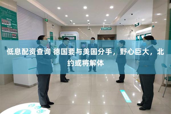 低息配资查询 德国要与美国分手，野心巨大，北约或将解体