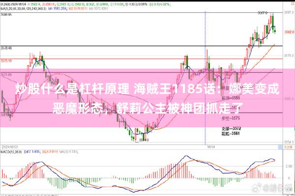 炒股什么是杠杆原理 海贼王1185话：娜美变成恶魔形态，舒莉公主被神团抓走了