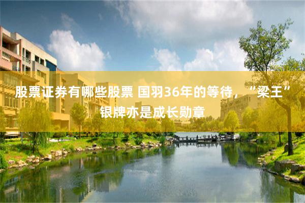 股票证券有哪些股票 国羽36年的等待，“梁王”银牌亦是成长勋章