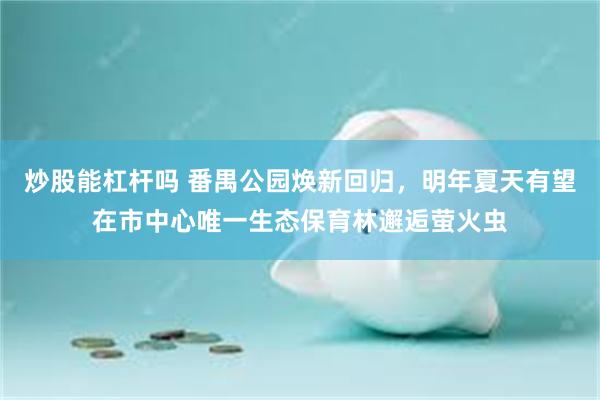 炒股能杠杆吗 番禺公园焕新回归，明年夏天有望在市中心唯一生态保育林邂逅萤火虫