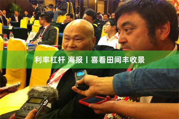 利率杠杆 海报丨喜看田间丰收景