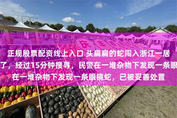 正规股票配资线上入口 头扁扁的蛇闯入浙江一居民家中，眨眼间不见了，经过15分钟搜寻，民警在一堆杂物下发现一条眼镜蛇，已被妥善处置