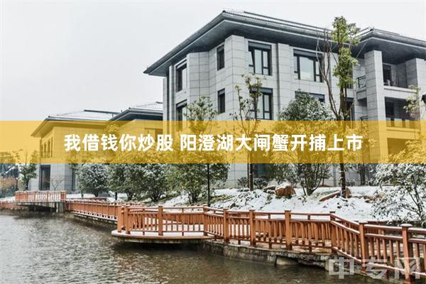 我借钱你炒股 阳澄湖大闸蟹开捕上市