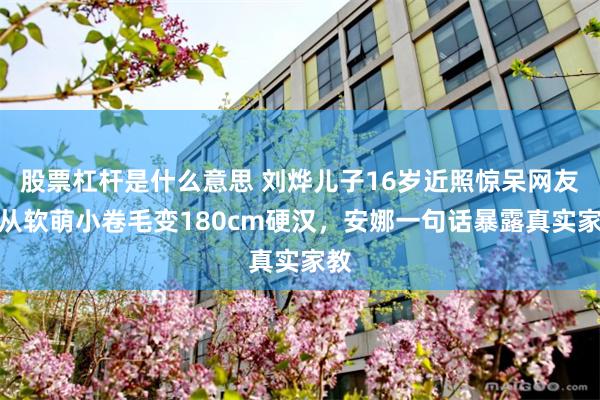 股票杠杆是什么意思 刘烨儿子16岁近照惊呆网友，从软萌小卷毛变180cm硬汉，安娜一句话暴露真实家教
