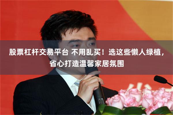 股票杠杆交易平台 不用乱买！选这些懒人绿植，省心打造温馨家居氛围